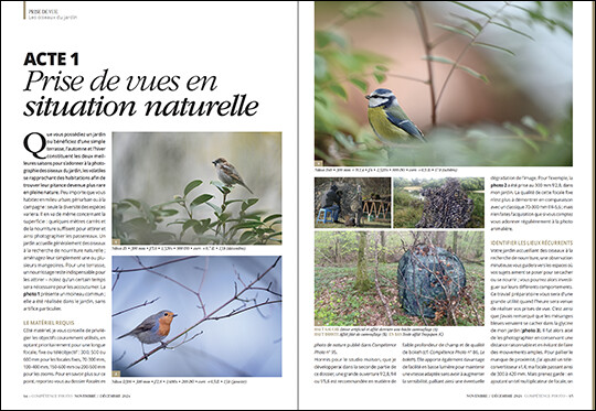 Compétence Photo Numéro 103 : La photo urbaine • Photopea • High-key en paysage • Portrait : 20 erreurs • Oiseaux du jardin