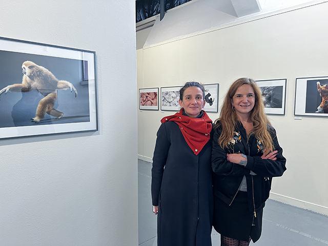 Direction artistique : Mathilde Terraube et Sylvie Hugues • Photo à gauche : Tim Flach, More than Human