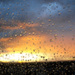 20111216144015_pluie_02 20111216144015_pluie_02