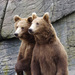 20120212195607_duo_d_ours 20120212195607_duo_d_ours