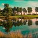 Golf Reflection - Arnaud Bertrande Golf Reflection - Arnaud Bertrande