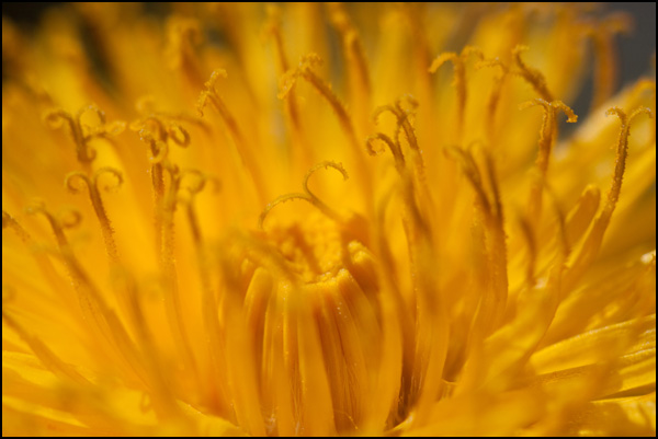 20110330002035_20110320_img_3856.jpg 20110330002035_20110320_img_3856.jpg