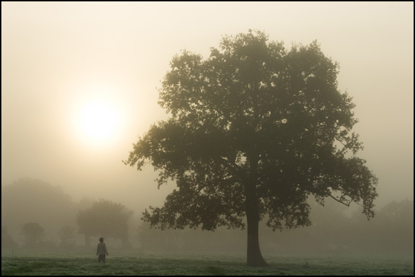 20110330220405_crw_0181.jpg 20110330220405_crw_0181.jpg