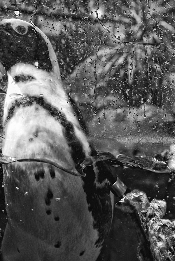 20120209194922_3875435332_68f9b45667_o 20120209194922_3875435332_68f9b45667_o