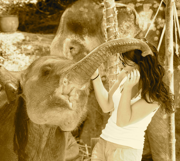 20120215130845_img_6727_2 20120215130845_img_6727_2