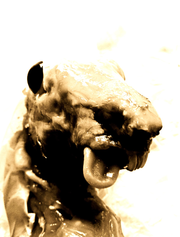 20120216103920_lapin 20120216103920_lapin