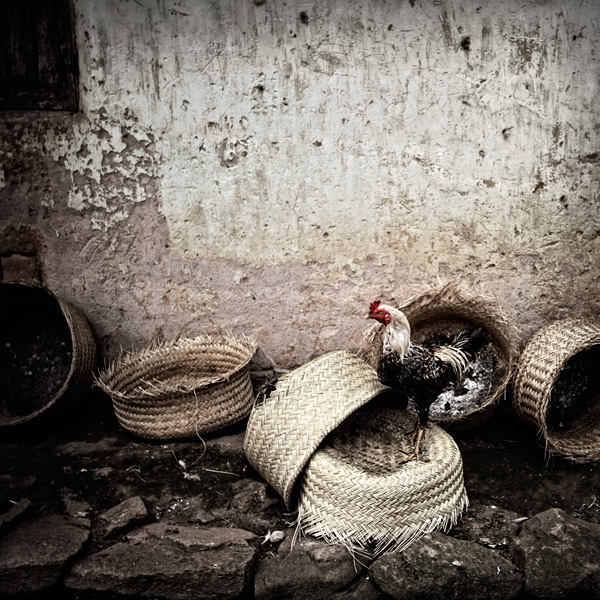 José Vital José Vital