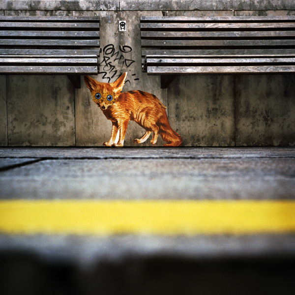 Christophe Niel Christophe Niel