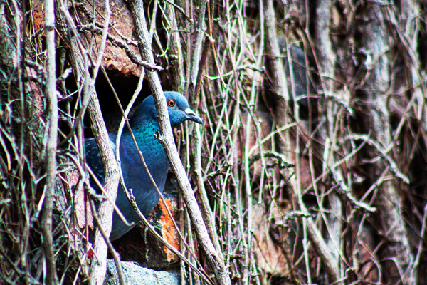 20120410192511_img_8848 20120410192511_img_8848