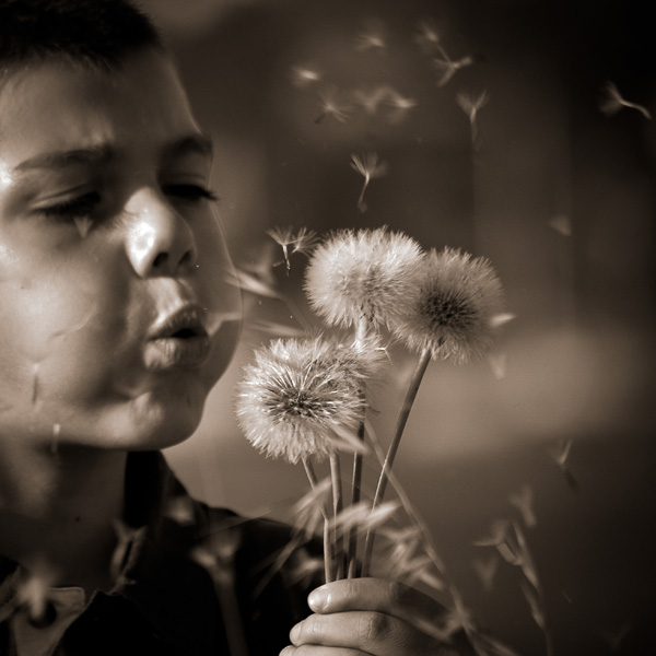 20120516171910_img_1878_2 20120516171910_img_1878_2