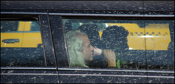 La fleur du mâle La fleur du mâle