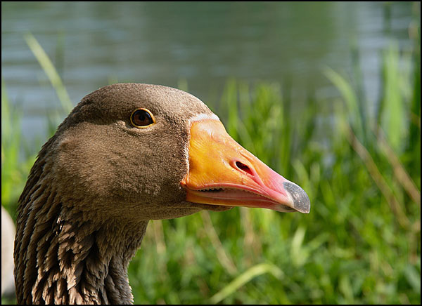Le regard de la Nature Le regard de la Nature